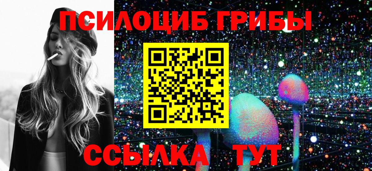 Кисловодск  Псилоцибиновые грибы GOLDEN TEACHER  Вход с VPN 